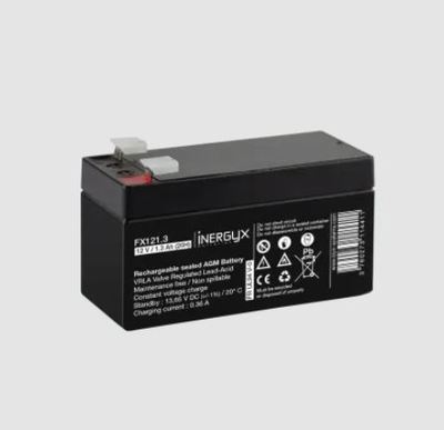 INERGYX